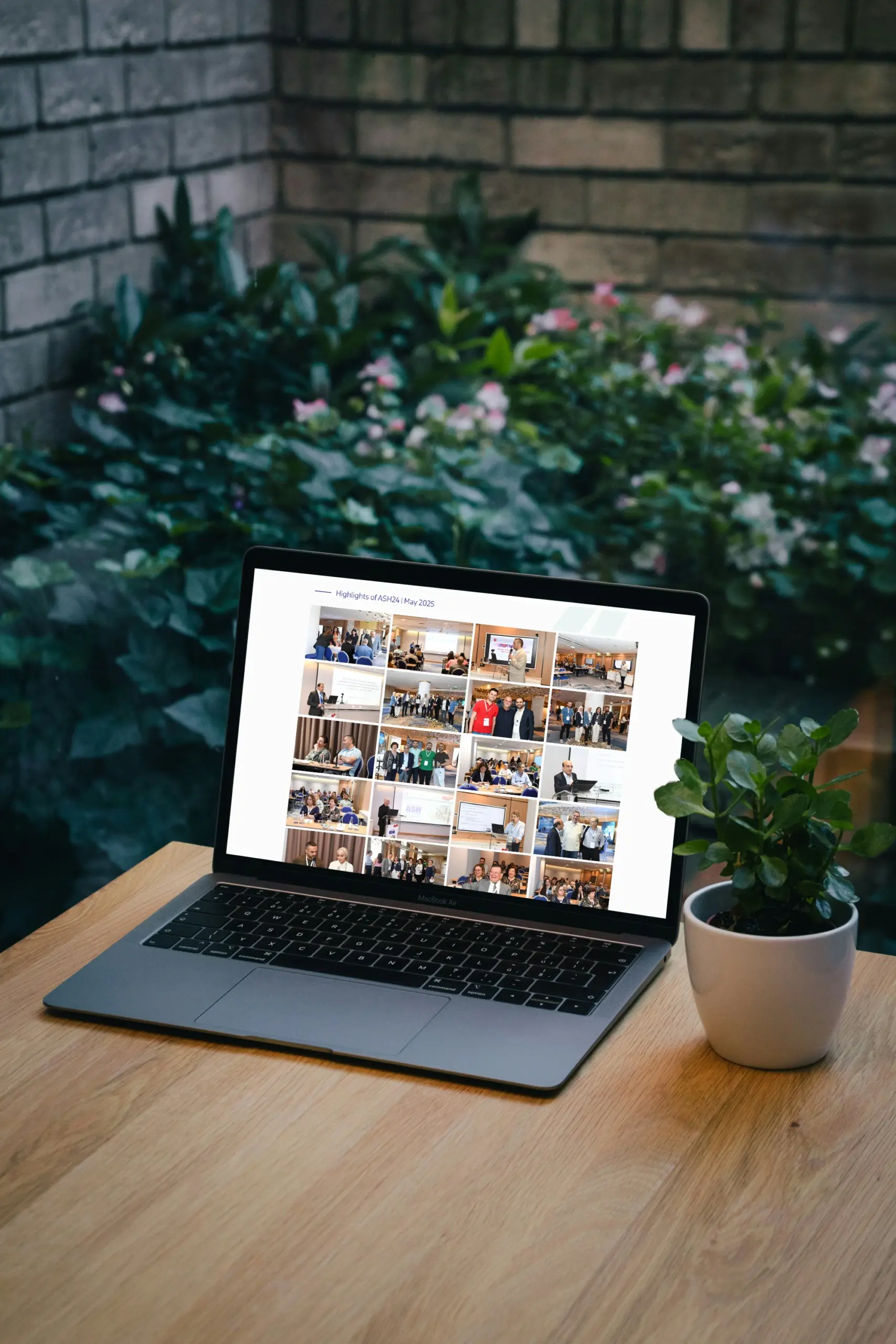 m2med gallery 2 scaled